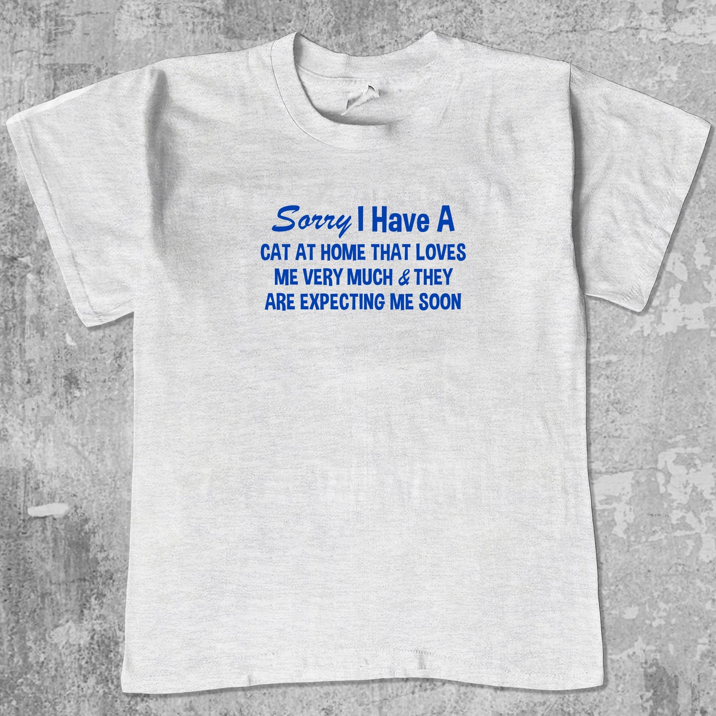 I Have A Cat graphic tee with bold and humorous print, funny and trendy graphic. Perfect for adults and gift-giving. Ash Grey shirt.