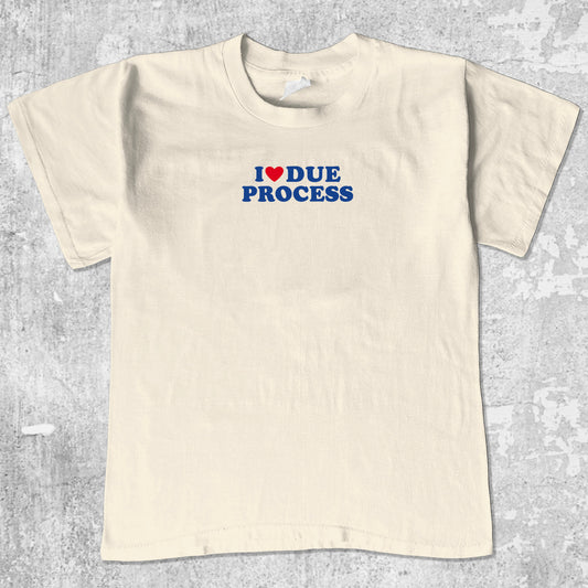 I Love Due Process graphic tee with bold and humorous print, funny and trendy graphic. Perfect for adults and gift-giving. Cream shirt.