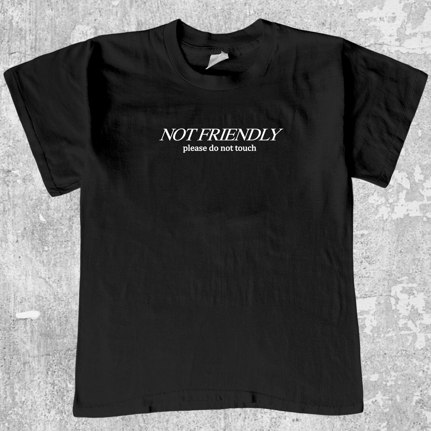 Not Friendly Please Do Not Touch graphic tee with bold and humorous print, funny and trendy graphic. Perfect for Christmas gifts for friends and family. Black shirt.