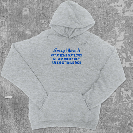 I Have A Cat graphic hoodie with funny and trendy artwork, casual streetwear with bold personality. Great for adults and gifting. Heather Grey hoodie.