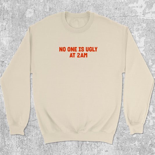 No one is ugly at 2am graphic sweatshirt with bold and humorous print, warm and cozy graphic for everyday wear. Perfect gifts for friends and family. Natural pullover.