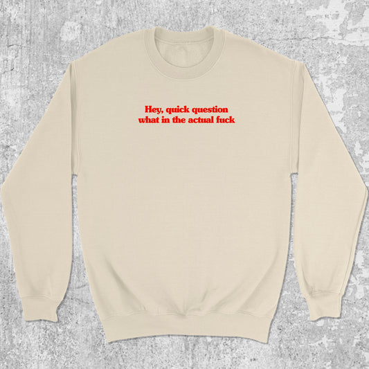 Hey quick question what in the actual fuck graphic sweatshirt with bold and humorous print, warm and cozy graphic for everyday wear. Perfect for adults and gift-giving. Natural pullover.