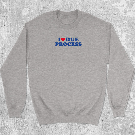 I Love Due Process graphic sweatshirt with bold and humorous print, warm and cozy graphic for everyday wear. Perfect for adults and gift-giving. Heather Grey pullover.