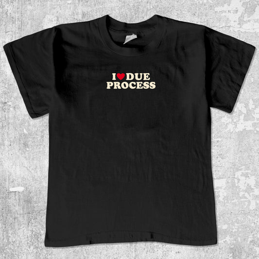 I Love Due Process graphic tee with bold and humorous print, funny and trendy graphic. Perfect for adults and gift-giving. Black shirt.