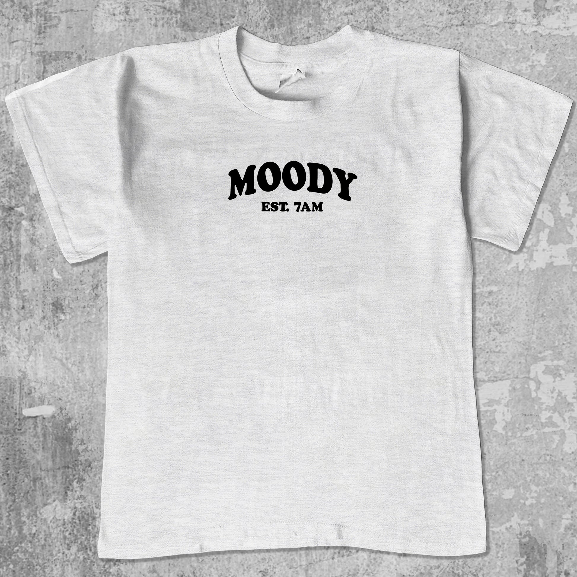 Moody graphic tee with cute and humorous print, funny and Vintage graphic. Perfect for friends. Ash Grey shirt.