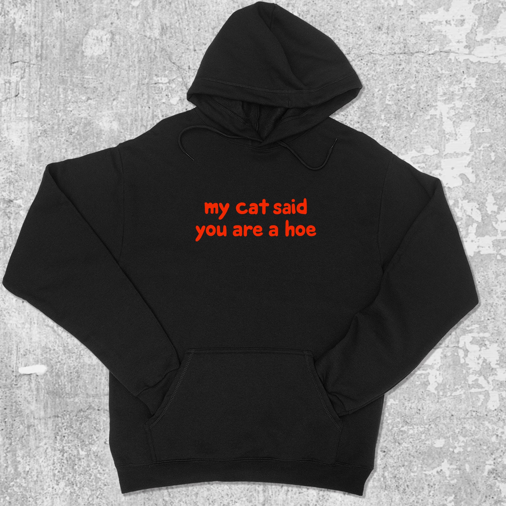 My Cat Said You Are A Hoe graphic hoodie with funny and trendy artwork, casual streetwear with bold personality. Great for adults and gifting. Black hoodie.