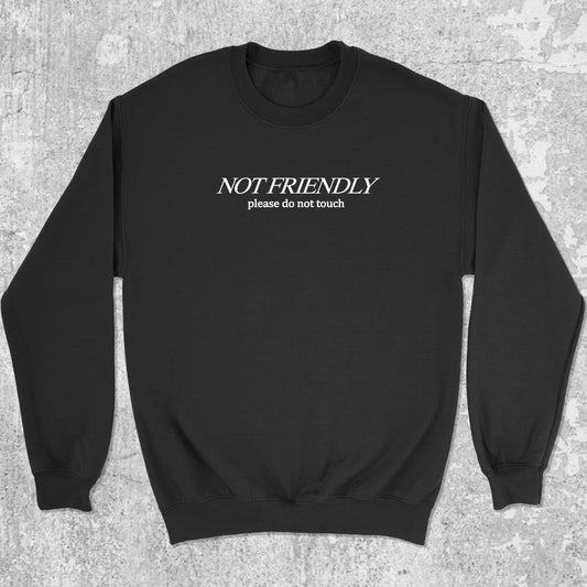 Not Friendly Please Do Not Touch graphic sweatshirt with bold and humorous print, warm and cozy graphic for everyday wear. Perfect for Christmas gifts for friends and family. Black pullover.